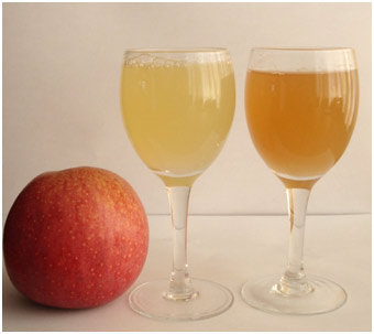 不同搅拌时间制作的苹果汁(左：搅拌10秒;右：70秒)
